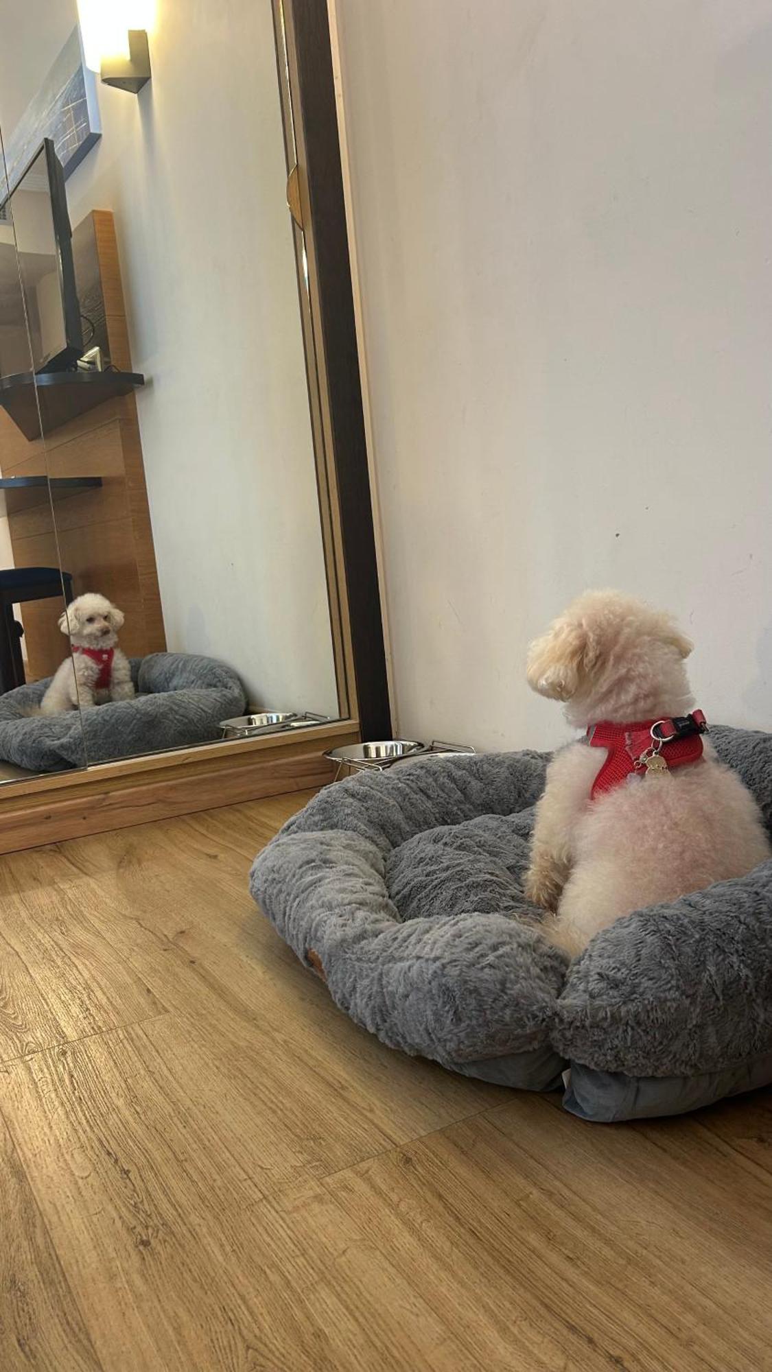 호텔 보날바 알칸테 엘 캄펠로 외부 사진